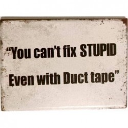 You Can't Fix Stupid Fridge Magnet ( 1Pk )
