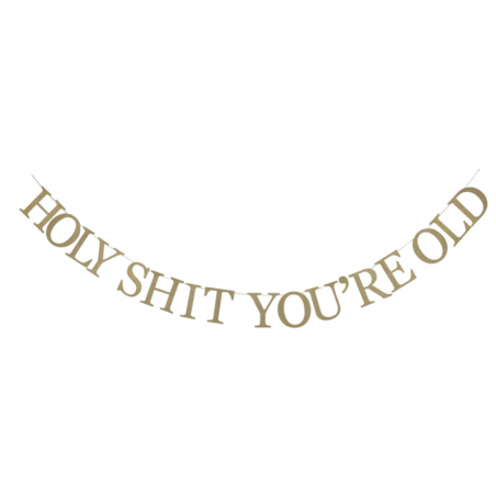 Holy Shit You're Old Banner