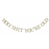Holy Shit You're Old Banner
