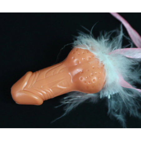 Penis Willy Whistle (1Pk)